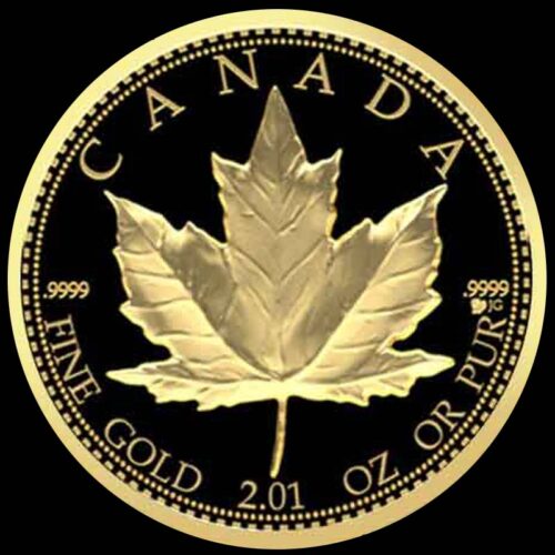 The RCAF Centennial 2.01 Troy Oz Golden Maple Credit Card Purchase + $100 Insurance Fee